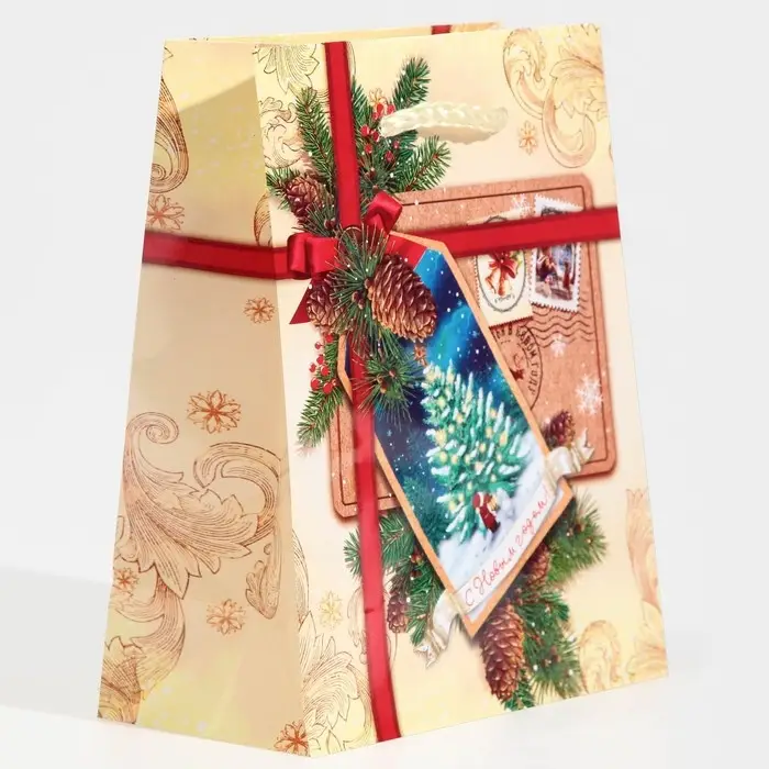 Пакет подарочный новогодний ламинированный «С Новым годом!», S 11.5 х 14.5 х 5.5 см Пакет подарочный новогодний ламинированный «С Новым годом!», S 11.5 х 14.5 х 5.5 см