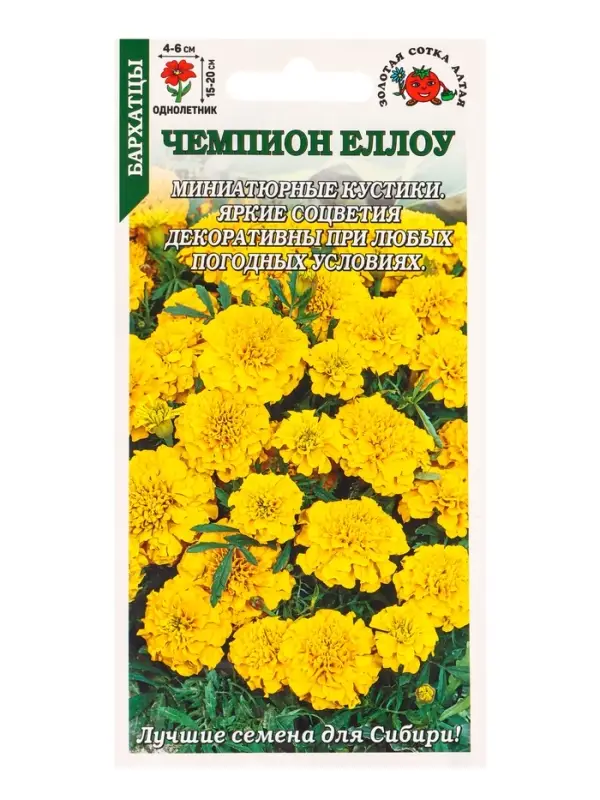 Семена Бархатцы Чемпион йеллоу /Сотка/ 0,2г/ h-15-20см d-4-6см /*1200 Семена Бархатцы Чемпион йеллоу /Сотка/ 0,2г/ h-15-20см d-4-6см /*1200