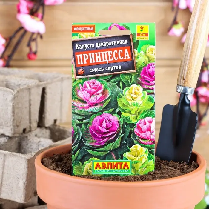 Семена цветов Капуста декоративная Семена цветов Капуста декоративная "Принцесса", смесь окрасок, О, 0,1 г