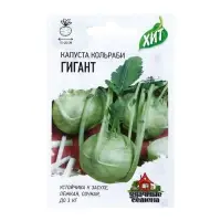 Семена Капуста кольраби &laquo;Гигант&raquo;, 0.2 г, &laquo;Удачные семена&raquo;