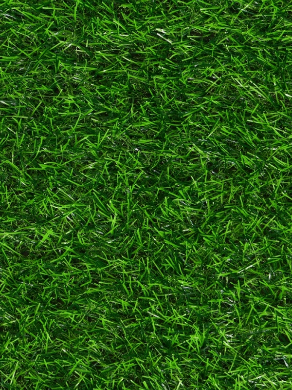 Газон искусственный, ворс 30 мм, 1 × 2 м, зелёный, Greengo Газон искусственный, ворс 30 мм, 1 × 2 м, зелёный, Greengo