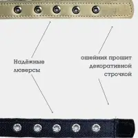 Ошейник усиленный, 50&times;2.5 с, с подкладом из брезента, сыромятная кожа, белый