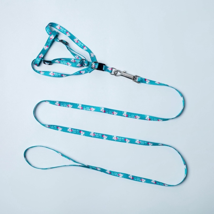 Комплект «Хочу на ручки», шлейка 24-34х1 см, поводок 120 см