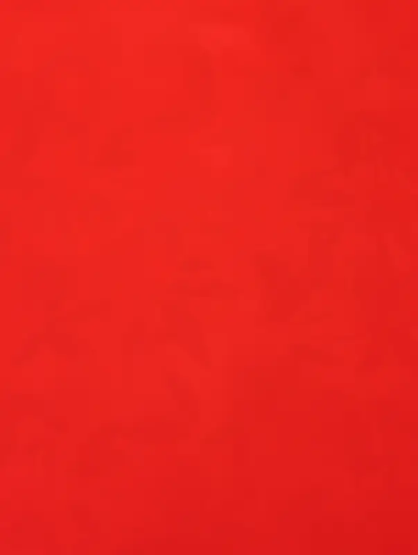 Пленка для цветов и букетов &laquo;Цветы&raquo;, красная, 57&times;57 см