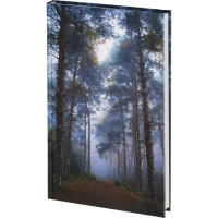 Ежедневник недатированный 7БЦ, пленка глянц., А5,128л, Выбор есть, Тайга