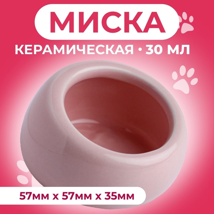 Миска керамическая для грызунов со скошенным краем 30 мл 5,7 х 5,7 х 3,5 см, розовая Миска керамическая для грызунов со скошенным краем 30 мл 5,7 х 5,7 х 3,5 см, розовая
