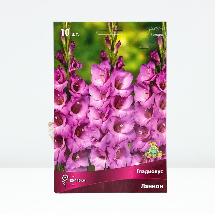 Гладиолус крупноцветковый «Лэннон», луковица цветов в пакете с перфорацией, р-р 10/12, 10 шт.