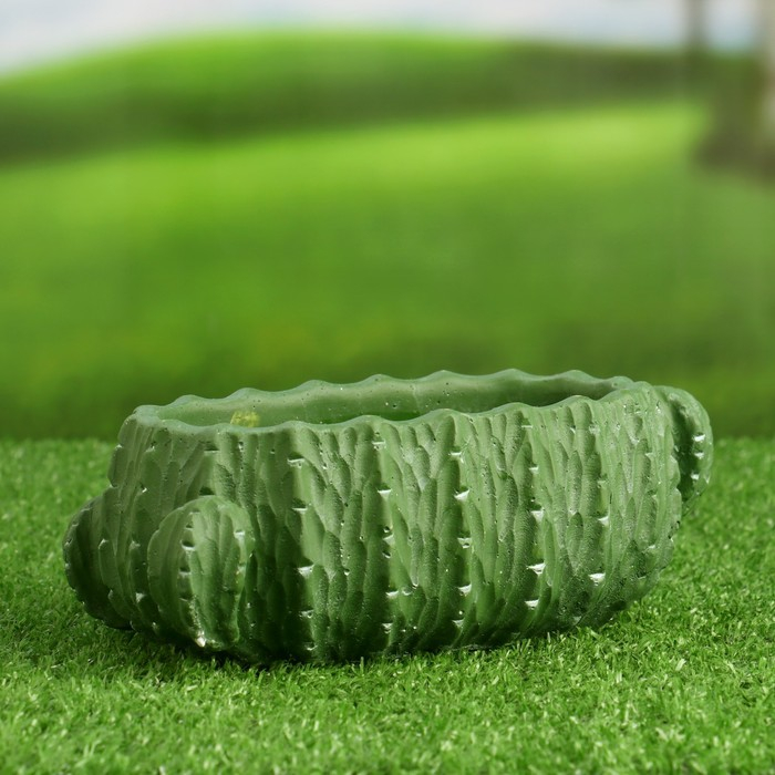 Кашпо - бонсай Кашпо - бонсай "Кактус" 19х7х9см