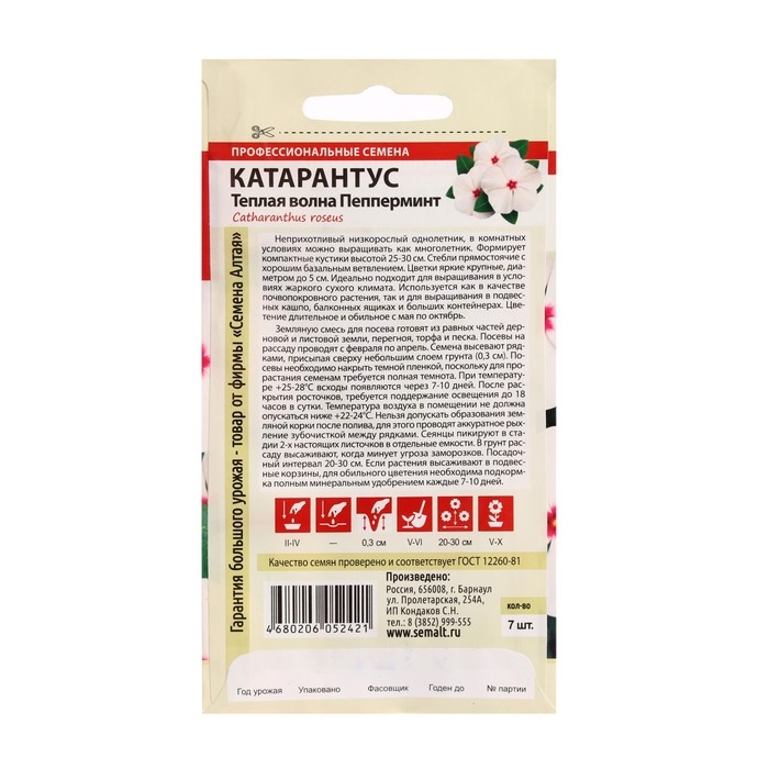 Семена цветов Катарантус Семена цветов Катарантус "Теплая волна", пеперминт, 5 шт