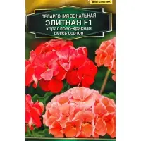 Семена цветов Пеларгония Элитная F1 кораллово-красная, смесь сортов Мн Золотая серия, Ц/П,5 шт. 1094 Семена цветов Пеларгония Элитная F1 кораллово-красная, смесь сортов Мн Золотая серия, Ц/П,5 шт. 1094