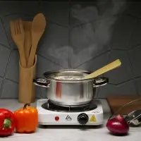 Плитка электрическая Luazon LHP-001, 1 конфорка, 1000 Вт, нагреватель спираль, белая