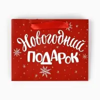 Пакет подарочный новогодний ламинированный &laquo;Новогодний подарок&raquo;, S 5.5 см &times; 15 см &times; 12 см