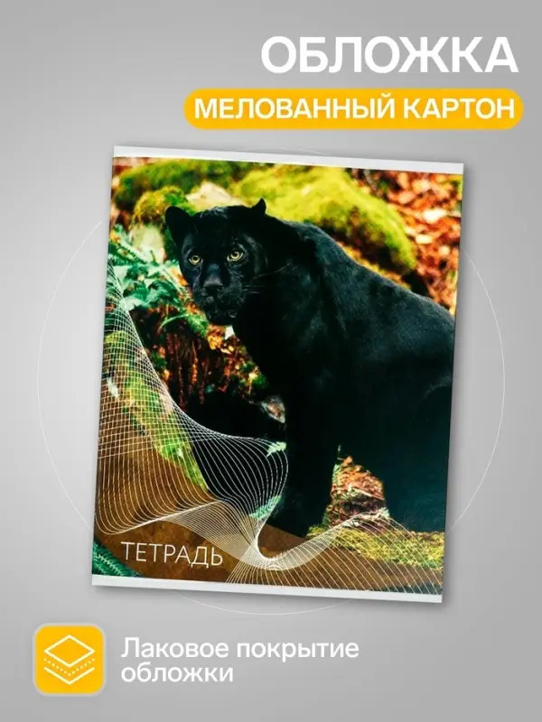 Набор тетрадей, 96 листов в линейку, Calligrata &laquo;Дикие кошки&raquo;, серые листы, 4 штуки