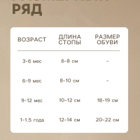 Набор носков Крошка Я BASIC LINE, 10 пар, 8-10 см, темно-серый