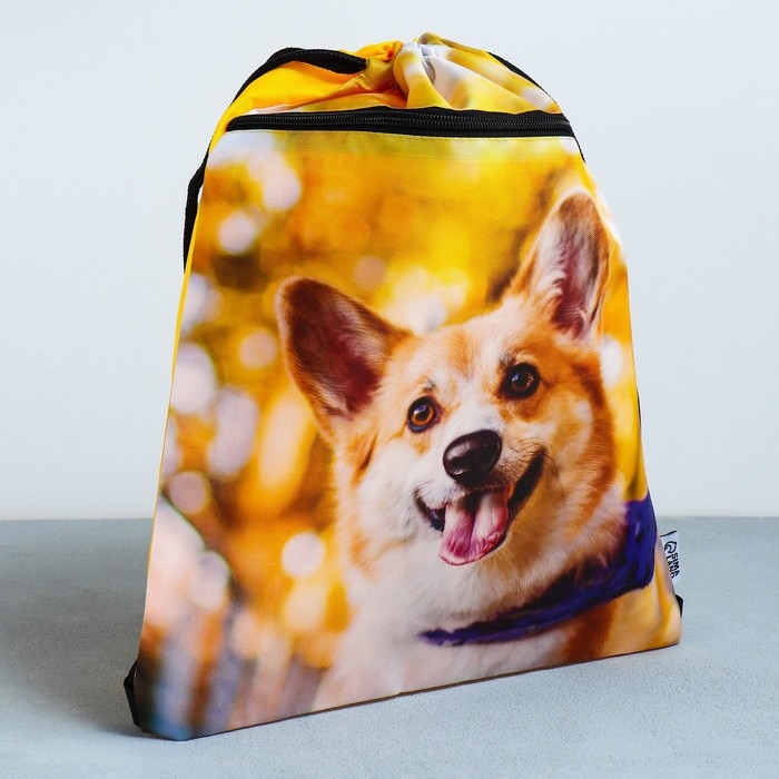 Мешок для обуви «Забавный корги» 2 секции, 30×40 см Мешок для обуви «Забавный корги» 2 секции, 30×40 см