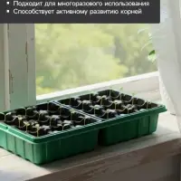 Набор для рассады: торфяная таблетка d=4.1 см, 24 шт., кассета на 24 ячейки по 40 мл, поддон 35.5&times;22.5 см, зелёный, пластик, Экоторф