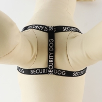 Комплект Security dog, шлейка 26-39 см, поводок 120х1 см