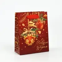 Набор пакетов ламинированных «Чудесного праздника!» Набор пакетов ламинированных «Чудесного праздника!»