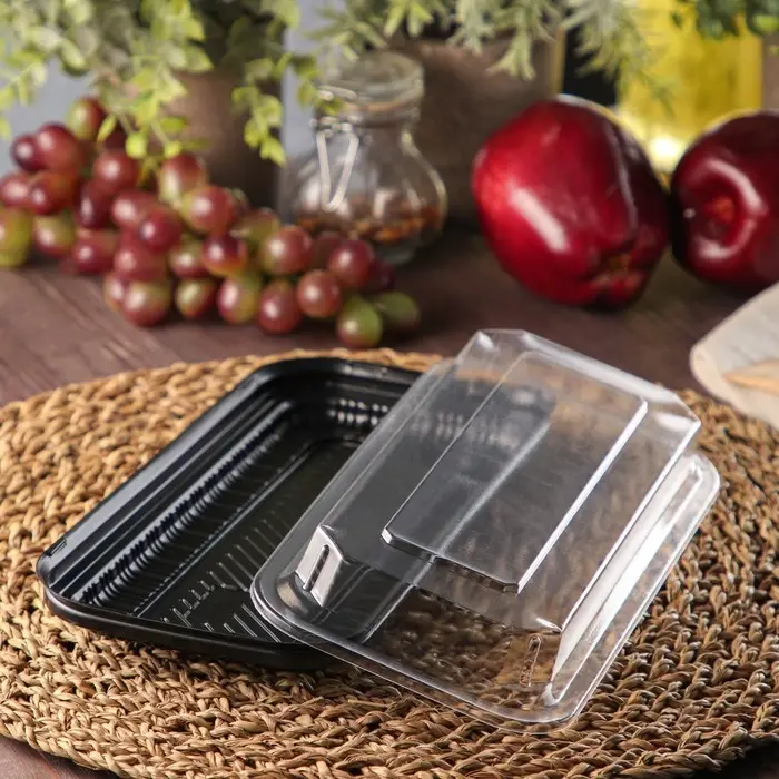 Контейнер с крышкой пластиковый одноразовый, 24×12×4,3 см, внутренние размеры 21×9×3,6 см, 750 мл, чёрный Контейнер с крышкой пластиковый одноразовый, 24×12×4,3 см, внутренние размеры 21×9×3,6 см, 750 мл, чёрный