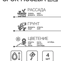 Семена комнатных цветов Пеларгония &laquo;Маверик Оранж&raquo;, F1, &laquo;Агроуспех&raquo;, 4 шт.