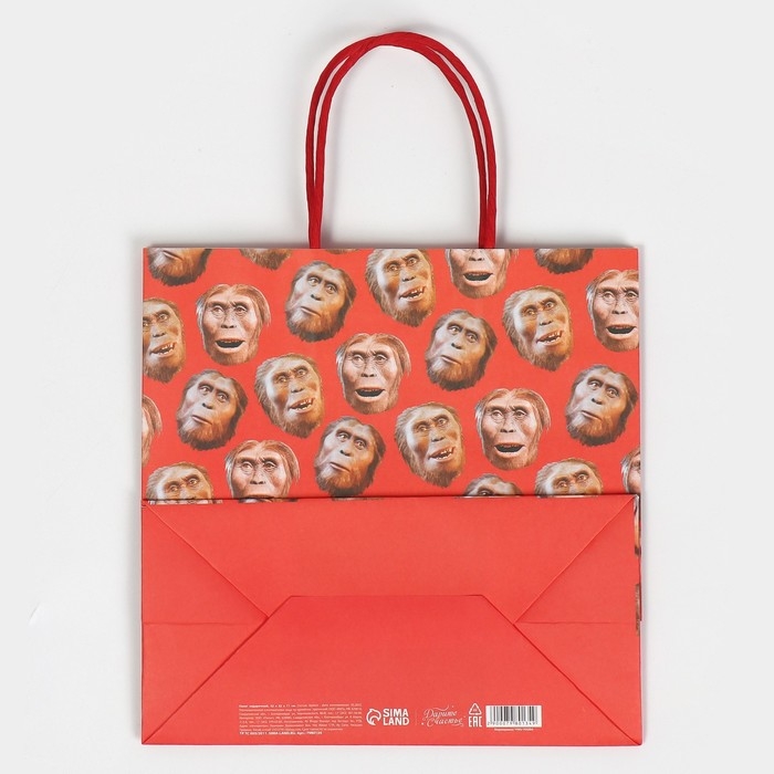 Пакет подарочный, упаковка, «Обезьяна», 22 х 22 х 11 см Пакет подарочный, упаковка, «Обезьяна», 22 х 22 х 11 см