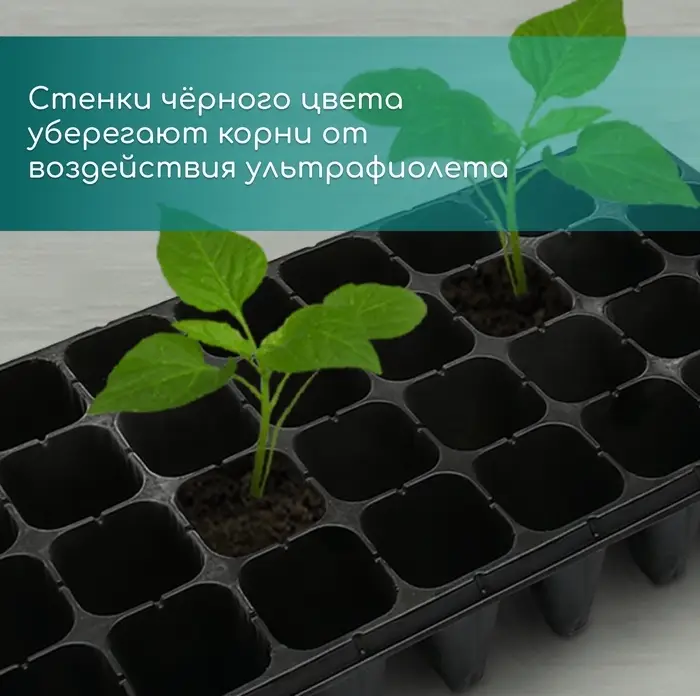 Кассета для рассады, 32 ячейки по 150 мл, пластик, чёрная, 51&times;28&times;10 см, Greengo