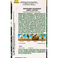 Семена цветов Маурандия лазающая, смесь сортов Золотая серия, Ц/П,5 шт. Семена цветов Маурандия лазающая, смесь сортов Золотая серия, Ц/П,5 шт.