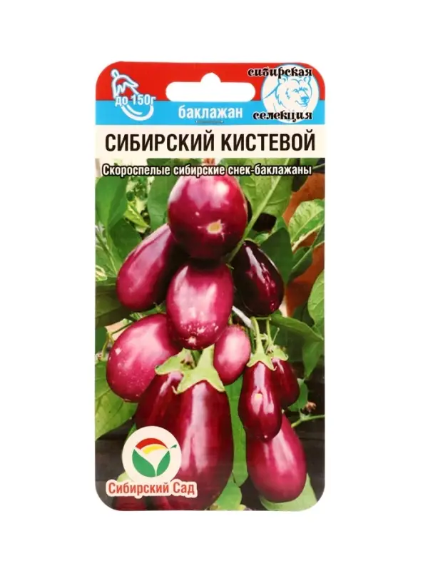 Семена Баклажан &laquo;Сибирский кистевой&raquo;, 20 шт., &laquo;Сибирский сад&raquo;