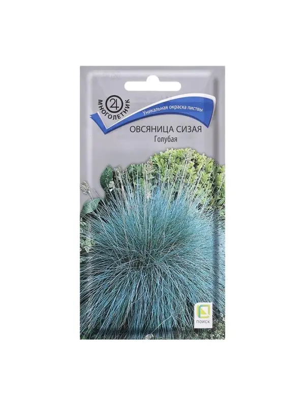 Семена цветов Овсяница "Сизая", Голубая, 0,1гр.
