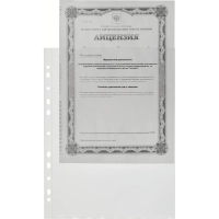Файл-вкладыш А4+ Attache Selection 120 мкм 50 шт/уп
