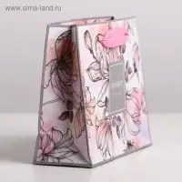 Пакет подарочный ламинированный, упаковка, &laquo;Present for you&raquo;, S 15 х 12 х 5.5 см