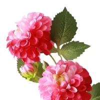 Цветы искусственные &laquo;Хризантема Бранхил черри&raquo;, d=9 см, h=49 см, тёмно-розовые