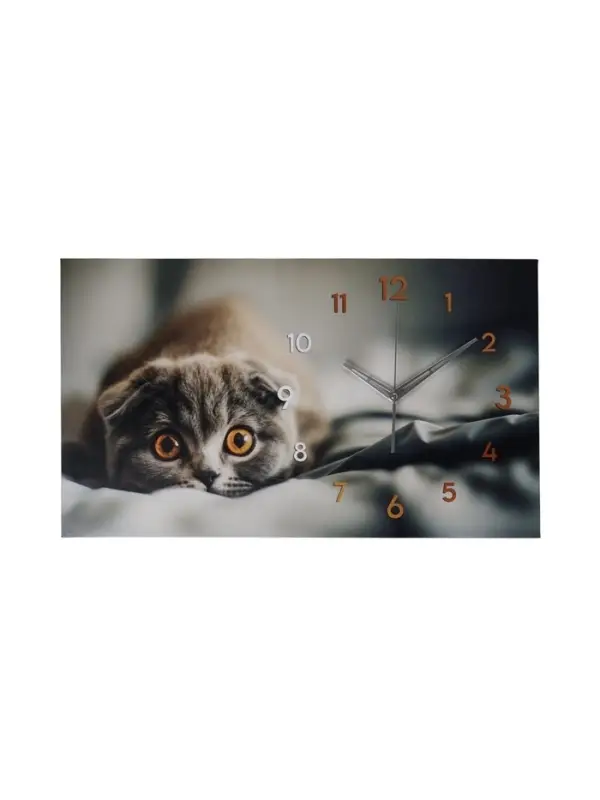 Часы-картина настенные интерьерные &laquo;Кот&raquo;, бесшумные, 35&times;60 см