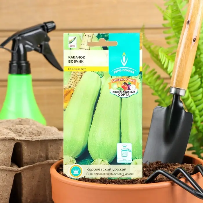Семена Кабачок  Семена Кабачок "Вовчик", раннеспелый, белоплодный, универсальный, 1 г