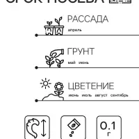 Семена цветов Бархатцы &laquo;Золотой великан&raquo;, О, 0.1 г