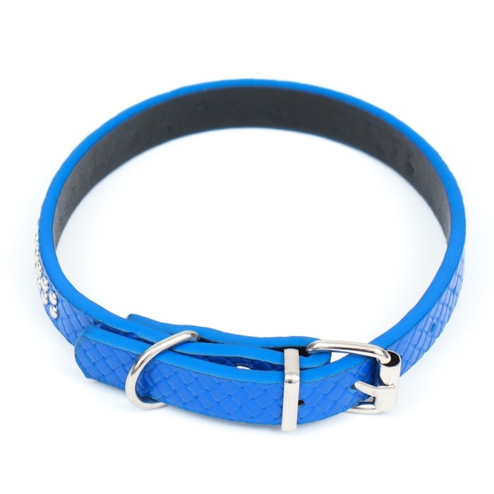 Ошейник рифленый с 2 рядами клепок, 33 х 1,2 см, ОШ 23-29, синий Ошейник рифленый с 2 рядами клепок, 33 х 1,2 см, ОШ 23-29, синий
