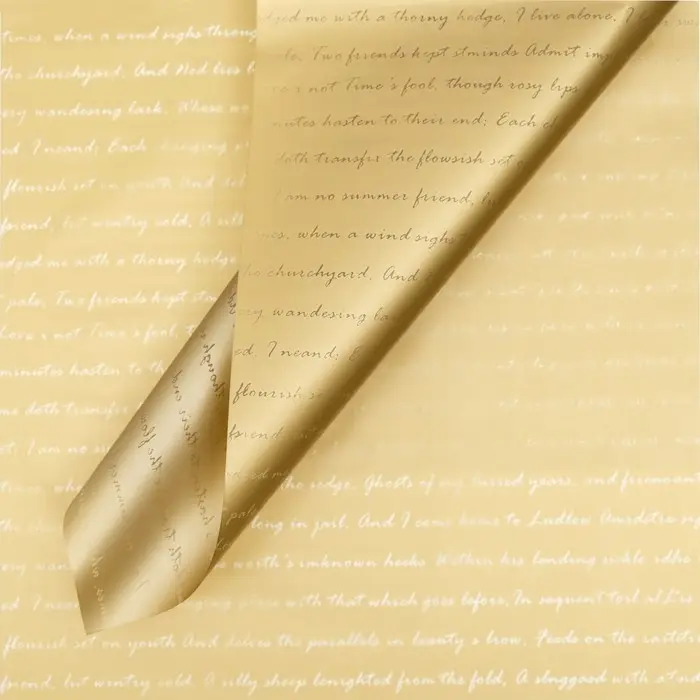 Плёнка двухсторонняя «Письмо», бежевый, 58×58±5% см