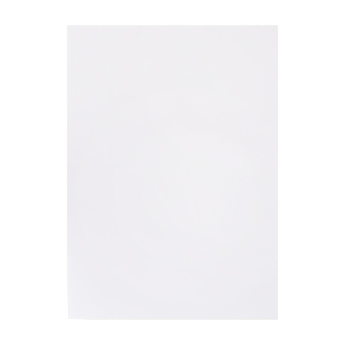 Бумага для пастели А3, 10 листов  Бумага для пастели А3, 10 листов "Лиса", блок 160г/м2, в папке