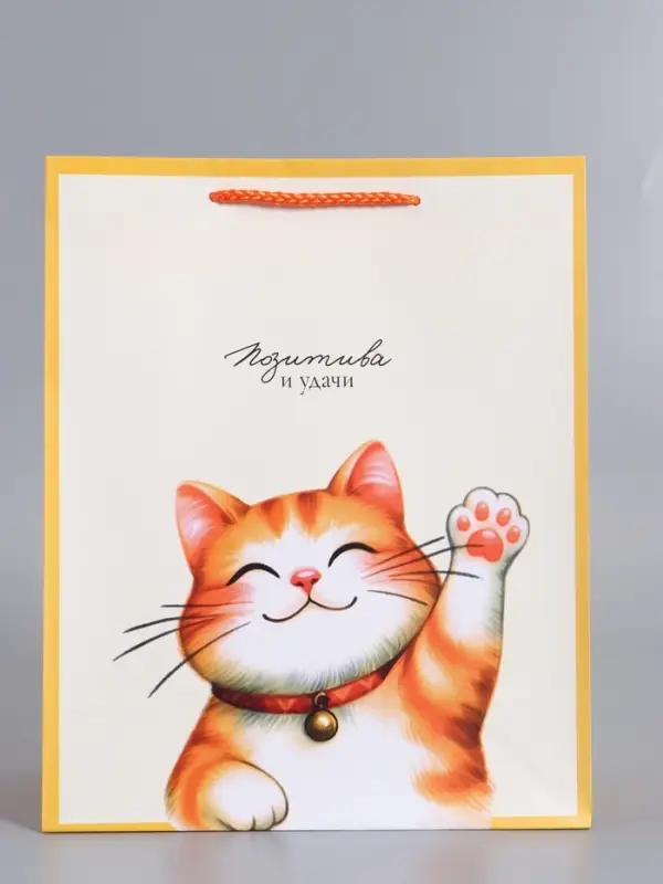 Пакет подарочный "Позитива и удачи" ламинированный 26 х 12 х 32 см