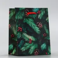 Пакет подарочный новогодний ламинированный, «Шишки» , 11.5×6.5×14.5 см Пакет подарочный новогодний ламинированный, «Шишки» , 11.5×6.5×14.5 см