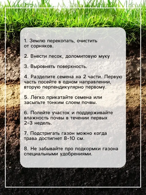 Газонная травосмесь &laquo;Спортивный&raquo; 0.5 кг