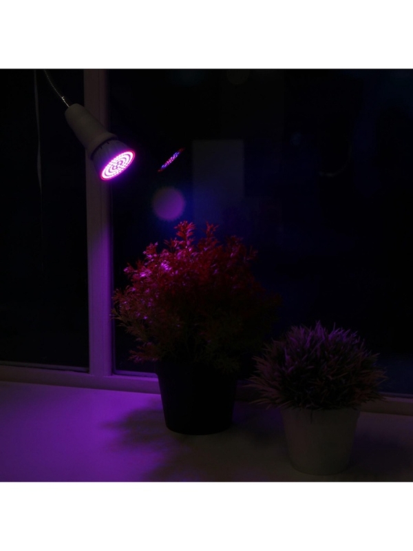 Фитолампа для растений Luazon, светодиодная, E27, 6 Вт, IP44, 220 В, 270°, биколорная Фитолампа для растений Luazon, светодиодная, E27, 6 Вт, IP44, 220 В, 270°, биколорная