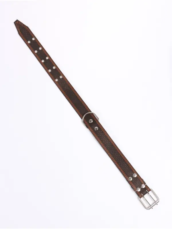 Ошейник однослойный, 73&times;4.5 см, ОШ 51-65 см, кожа, МИКС