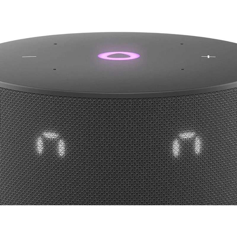 Умная колонка Яндекс Станция Мини 3 с Алисой на YaGPT черн (YNDX-00027BLK)