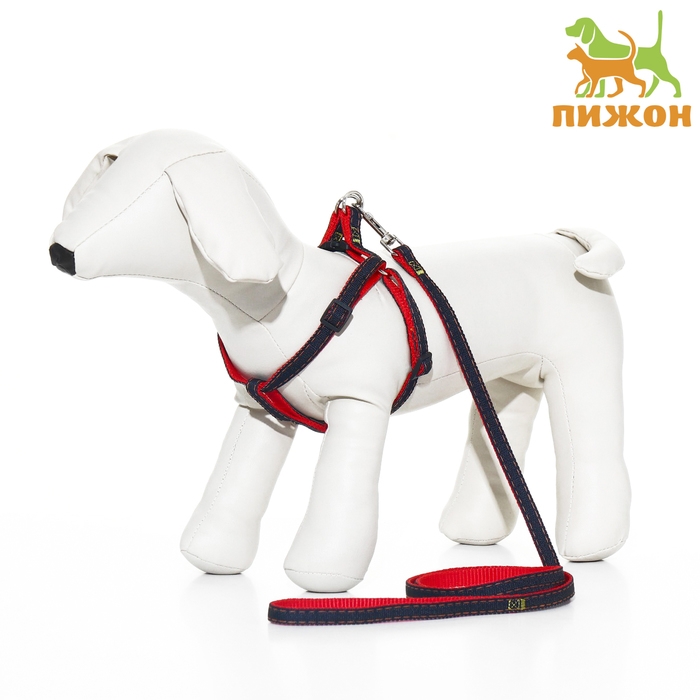 Комплект Комплект "Джинс", ширина 1 см, поводок 120 см, шлейка 25-40 см, красный