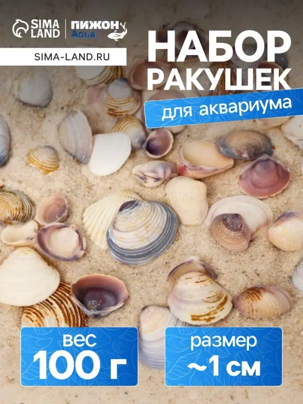Набор ракушек Rose petal tellin, 100 г