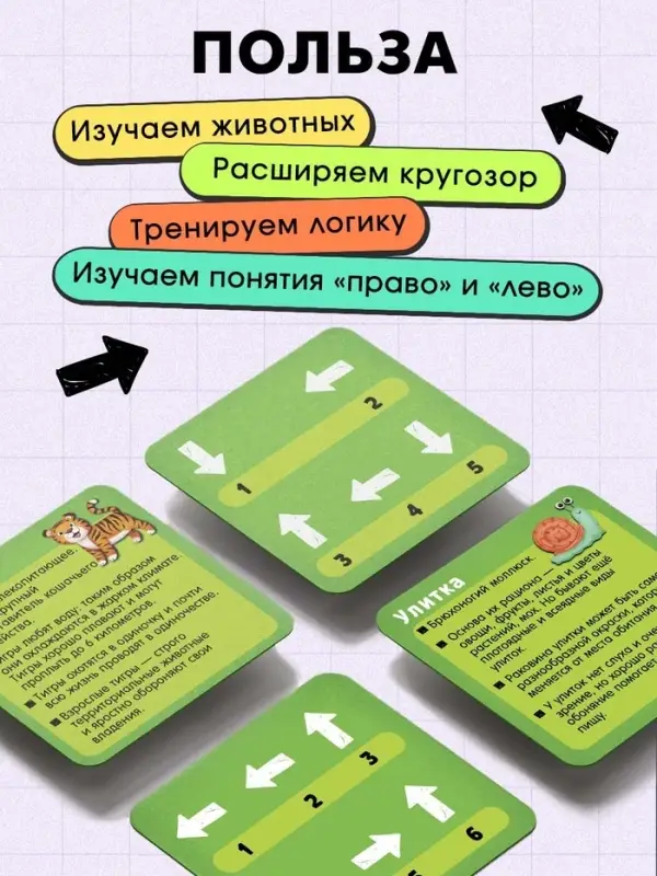 Развивающая игра &laquo;Пройди по стрелкам. Изучаем животных&raquo;, 24 карточки, 3+
