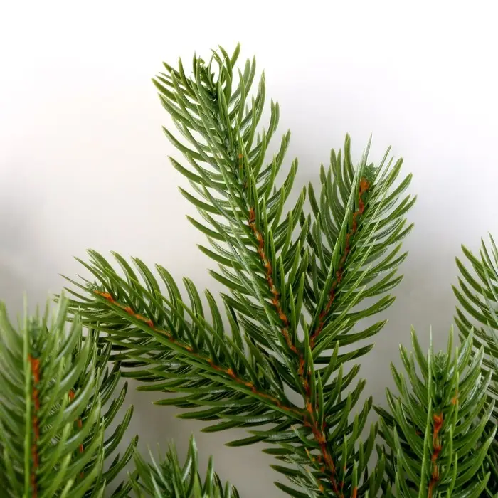 Еловая ветка зелёная, размер: 47 &times; 31 см, 1 шт.