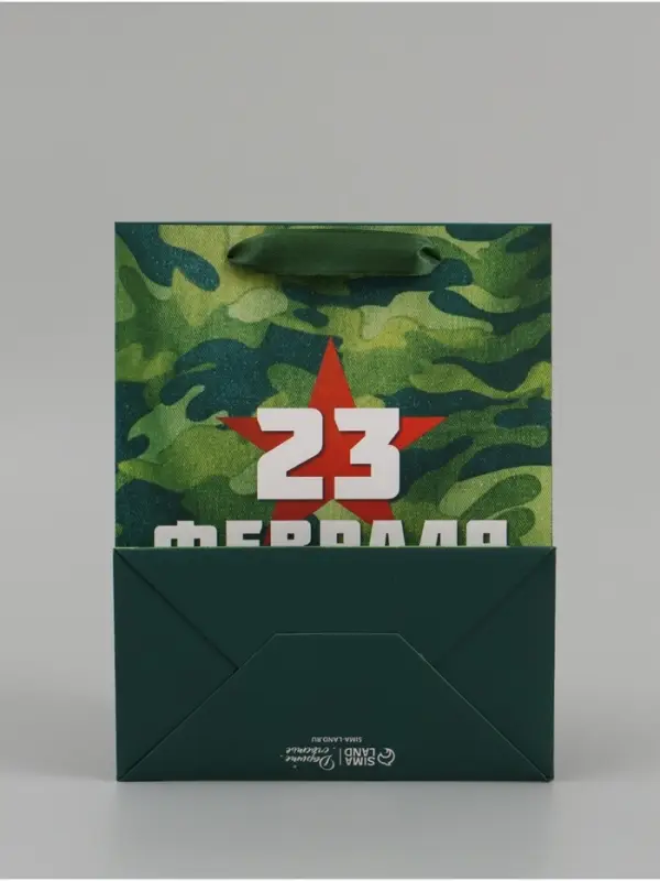 Набор подарочных ламинированных пакетов &laquo;Звезда&raquo;, 10 шт, 18 &times; 23 &times; 10 см