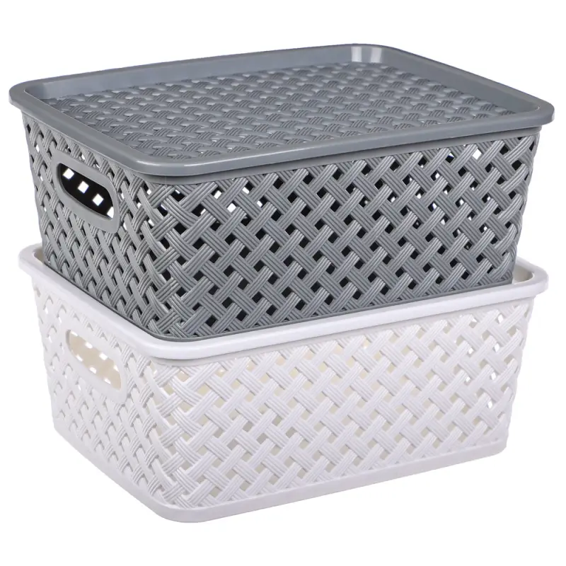 VETTA Корзина для хранения с крышкой "Сеул", 25x20x10см